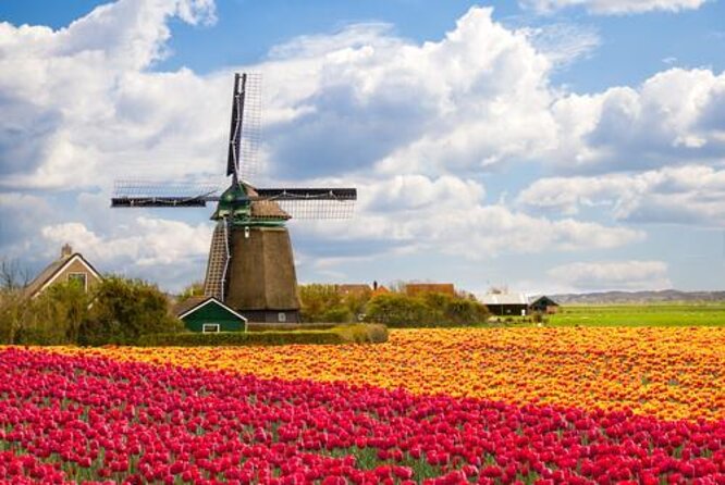 Keukenhof, Tulip Farm, Flower Fields & Zaanse Schans Windmills - Key Highlights You’ll Feel All Day Long