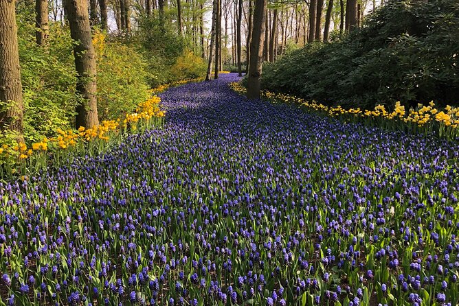 Keukenhof, Tulip Farm, Flower Fields & Zaanse Schans Windmills - The 10:00 Pickup and Private Door-to-Door Transfer