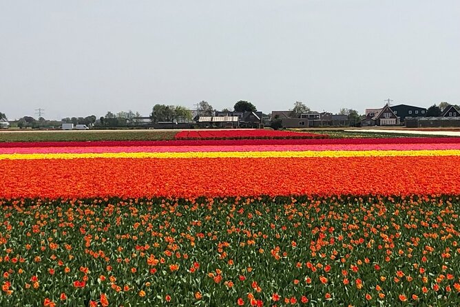 Keukenhof, Tulip Farm, Flower Fields & Zaanse Schans Windmills - Zaanse Schans Windmills: Working Machines and Real Village Streets