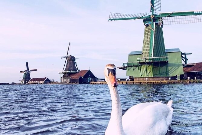 Keukenhof, Tulip Farm, Flower Fields & Zaanse Schans Windmills - What to Pack and How to Plan Without Getting Rushed