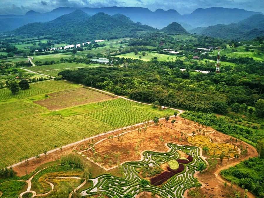 Khao Yai Vineyard Tasting Tour & Horse Farm Visit - Key takeaways before you go