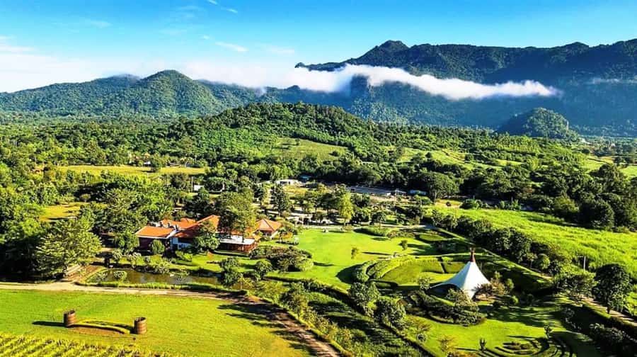Khao Yai Vineyard Tasting Tour & Horse Farm Visit - The 6:30 AM start: why the long day makes sense
