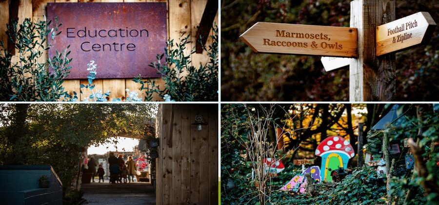 Kildare: Clonfert Farm General Admission Ticket - Your 3-Hour Game Plan: Animals, Education Centre, and Play Stops