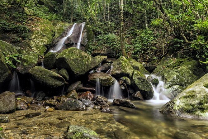 Kinabalu Park & Poring Hot Springs Tour with Desa Dairy Farm - Key highlights worth marking on your map