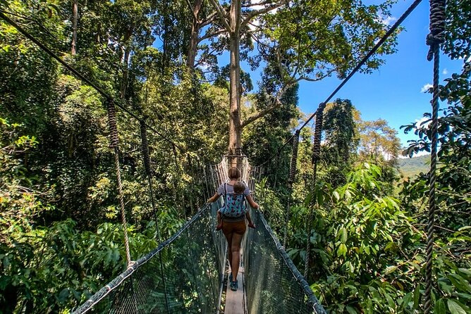 Kinabalu Park & Poring Hot Springs Tour with Desa Dairy Farm - Kinabalu Park: a short visit to a huge protected area