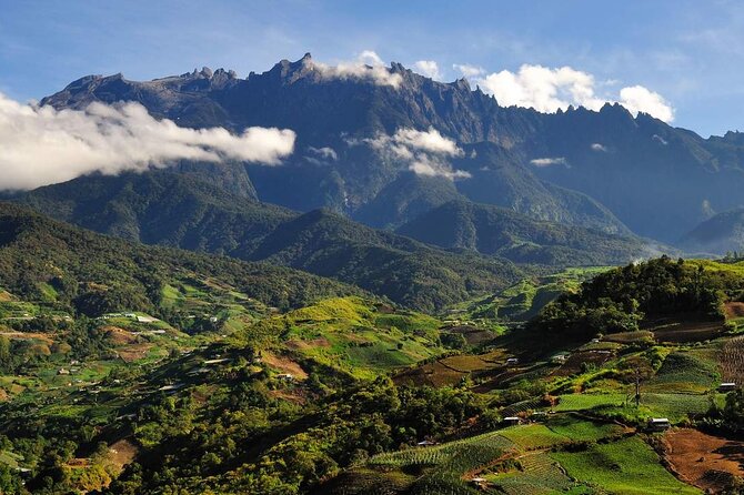 Kinabalu Park & Poring Hot Springs Tour with Desa Dairy Farm - Nabalu fruit market stop and Desa Dairy Farm: easy local flavor before the mountains
