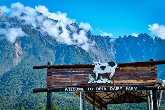 Kinabalu Park With Rumah Terbalik & Desa Cow Farm - Key highlights at a glance