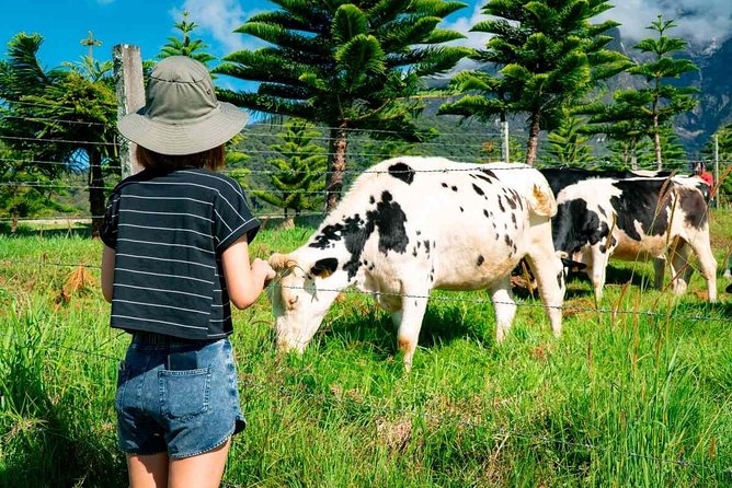 Kinabalu Park With Rumah Terbalik & Desa Cow Farm - Price and value: what $129.55 really buys