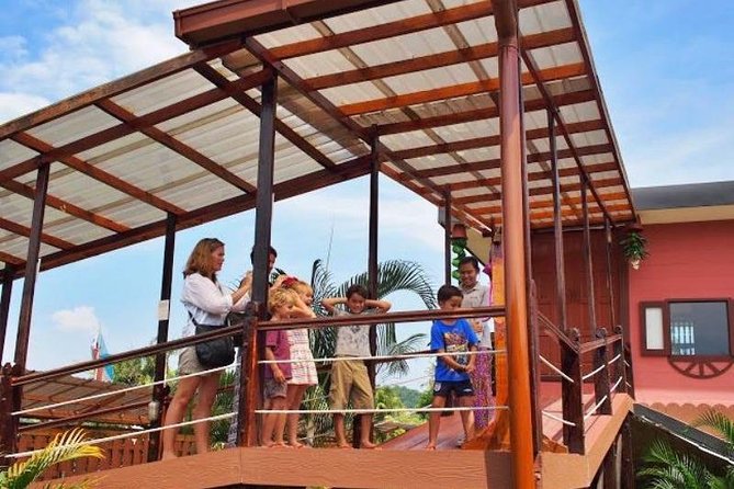 Kinabalu Park With Rumah Terbalik & Desa Cow Farm - Timing tips to protect your day