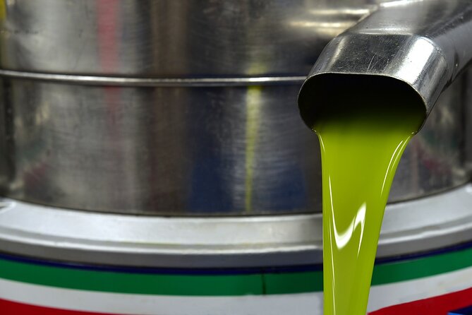 Kleanthi Olive Farm: Guided Tour with Local Delicacies Tasting - Inside the mill: seeing how olives become extra virgin oil