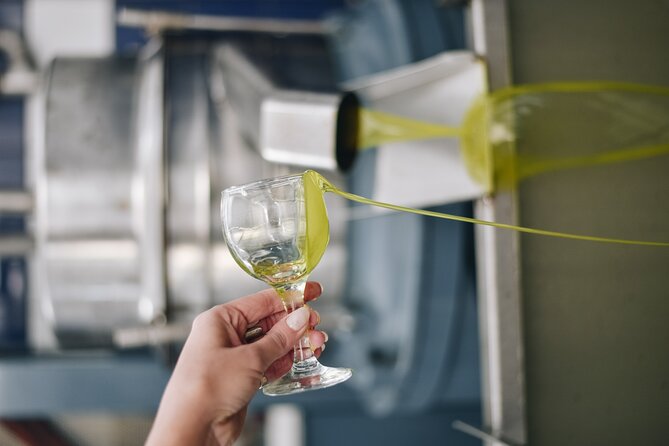 Kleanthi Olive Farm: Guided Tour with Local Delicacies Tasting - The tasting table: local foods + olive oil in real pairings
