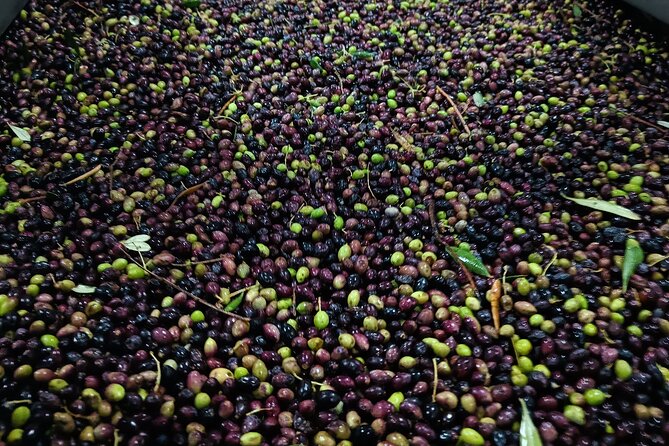Kleanthi Olive Farm: Guided Tour with Local Delicacies Tasting - Buying olive oil onsite: bring Crete home the smart way