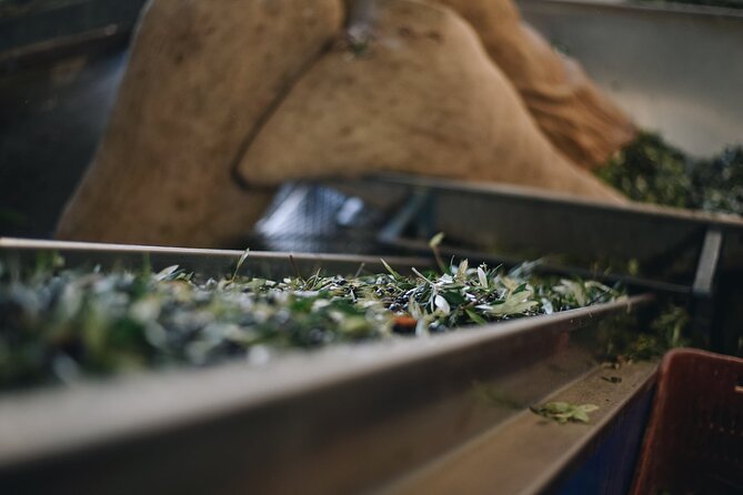 Kleanthi Olive Farm: Guided Tour with Local Delicacies Tasting - Price and value: why $25.34 feels fair
