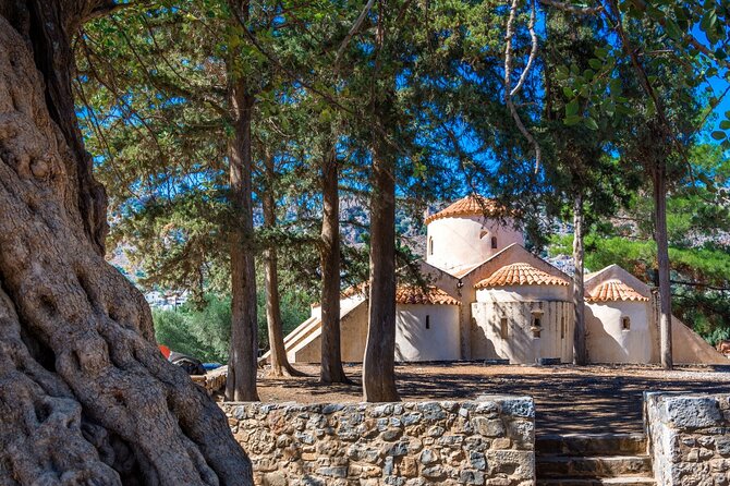 Knossos, Lasithi, Zeus Cave & Olive Mill Farm Combo Tour - Lyrakis family olive mill farm: the best “hands-on” part of the day