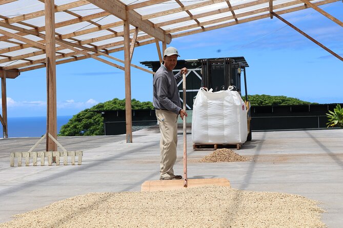 Kona Coffee Farm Tour from Tree to Tasting Room - Where Bay View Farm fits on the Big Island