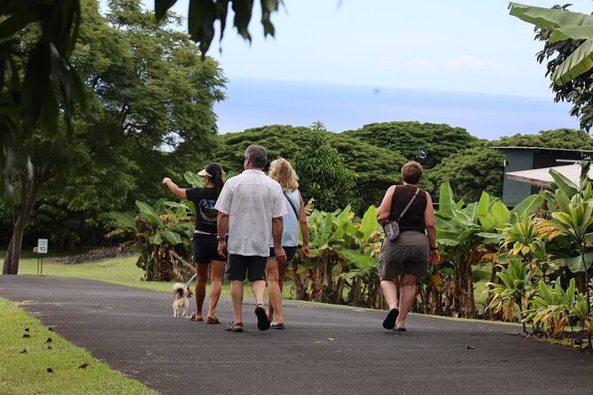 Kona Coffee Farm Tour from Tree to Tasting Room - The tasting room: fresh samples and what to order
