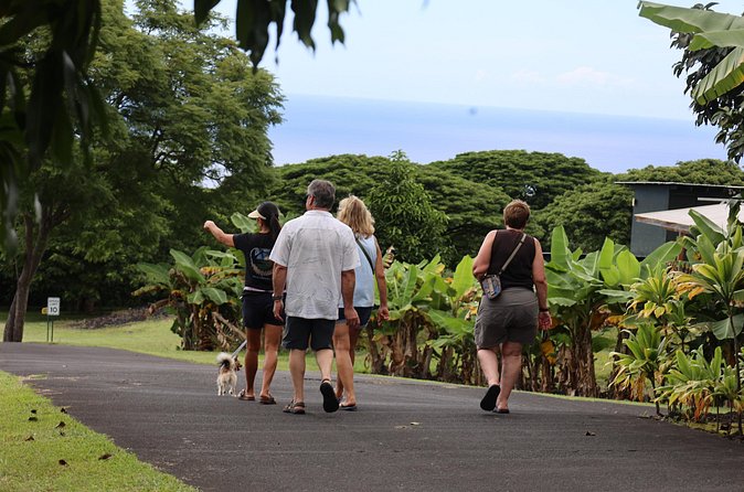 Kona Coffee Farm Tour from Tree to Tasting Room - Small-group energy: why the question time feels different