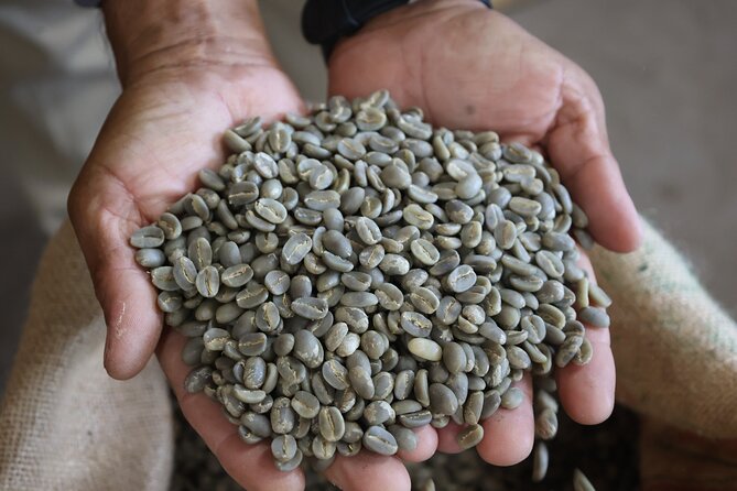 Kona Coffee Farm Tour from Tree to Tasting Room - Views and the ride in: Captain Cook road reality check
