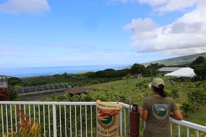 Kona Coffee Farm Tour from Tree to Tasting Room - Entering the farm: coffee trees, volcanic soil, and the hard parts
