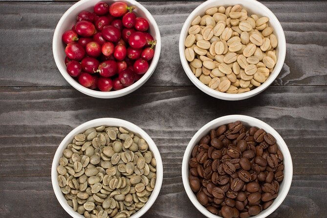 Kona Coffee Tasting: A Farm to Cup Experience - Farm-to-cup Kona coffee, taught at The Coffee LAB