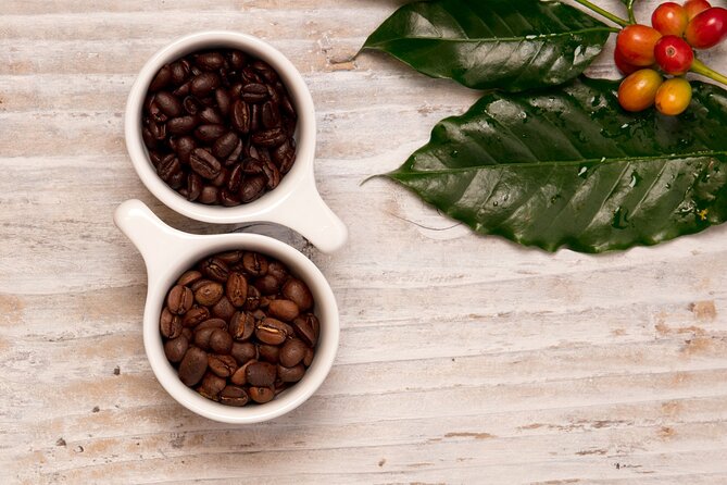 Kona Coffee Tasting: A Farm to Cup Experience - How you’ll taste (and why it makes a difference)