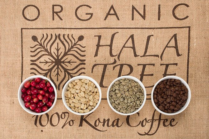 Kona Coffee Tasting: A Farm to Cup Experience - Mauna Loa and Kona: what this tasting teaches you about place