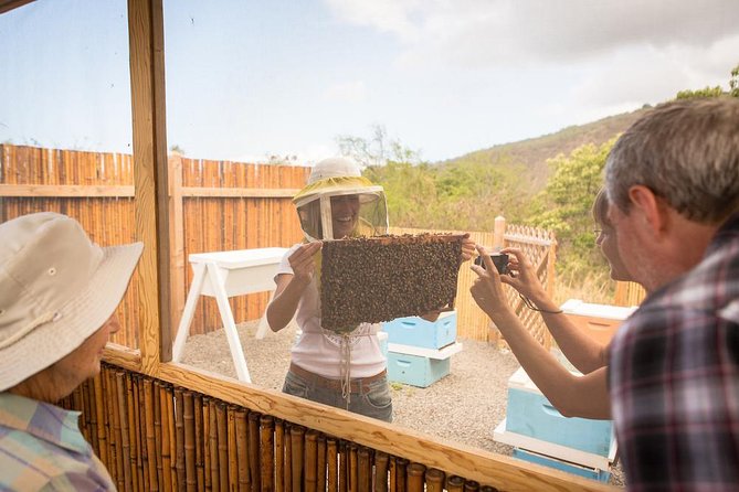 Kona Tour: Bee Farm, Kona Coffee, and National Historical Parks - Why this Kona combo tour feels like the right kind of full day