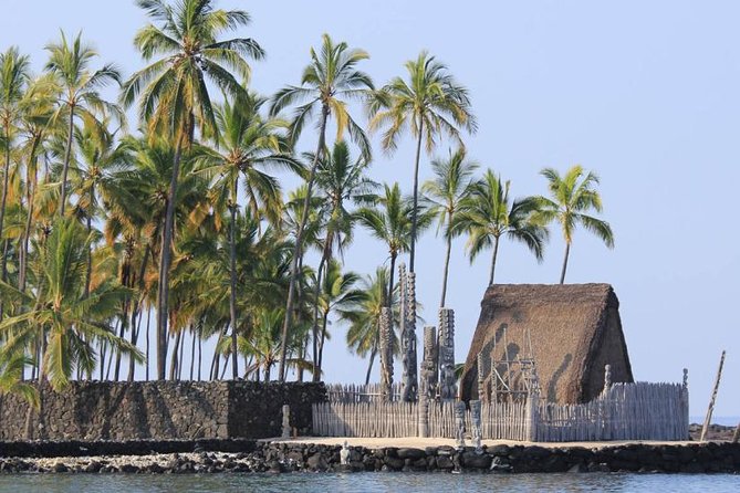 Kona Tour: Bee Farm, Kona Coffee, and National Historical Parks - Big Island Bees: tasting honey with a real look at the hive