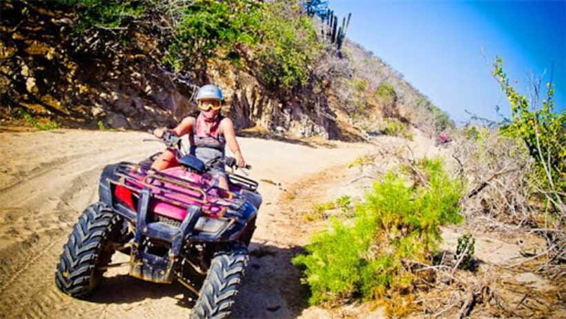 Kundasang : ATV Ride, Dairy Farm Visit & Meal Shared Tour - Desa Dairy Farm (Ladang Tenusu Desa Cattle): Cows, Goats, and Cold-Air Views