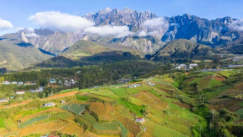 Kundasang: Day Tour with Desa Dairy Farm and Alpaca Club - Rumah Terbalik: the 1.5-hour Upside Down House that resets your mood