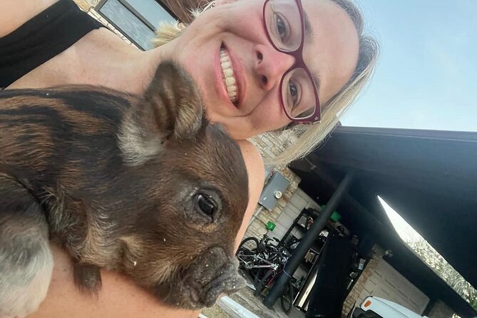 KuneKune Pig Farm Tour - Best Place Farms in Hutto: what this visit really is