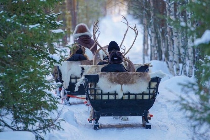Kuoksa Reindeer Farm Visit with a Short Sleigh Ride - A calm, family-style reindeer farm in Rovaniemi