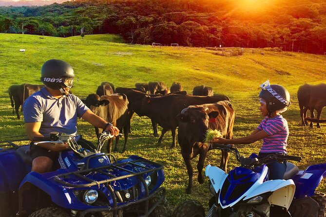 Kuranda 60 minute Quad Bike Experience and Petting Farm - Kuranda ATV + farm animals: why this works as a family day