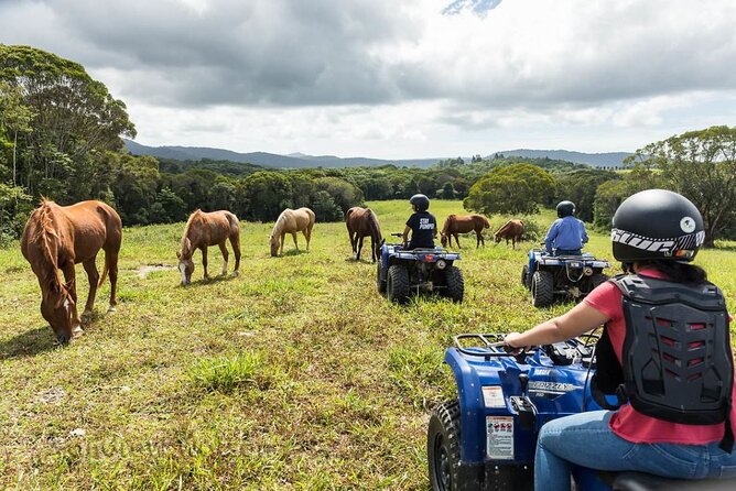 Kuranda 60 minute Quad Bike Experience and Petting Farm - After the ride: petting zoo and horse stable access