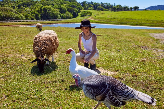 Kuranda 60 minute Quad Bike Experience and Petting Farm - How long it takes and how to plan your Kuranda day