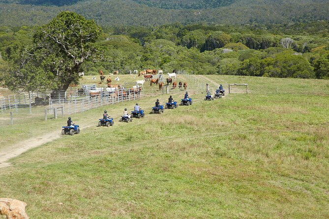 Kuranda 60 minute Quad Bike Experience and Petting Farm - Weather, comfort, and what to bring