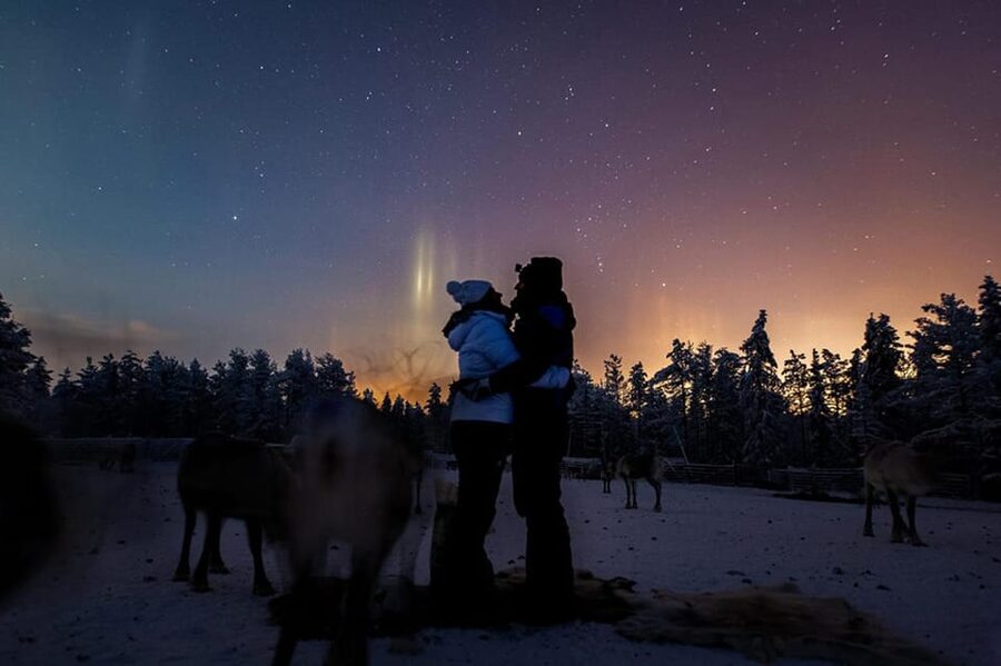Kuusamo: Reindeer Farm Visit - Quick hits: what makes this Kuusamo reindeer visit special