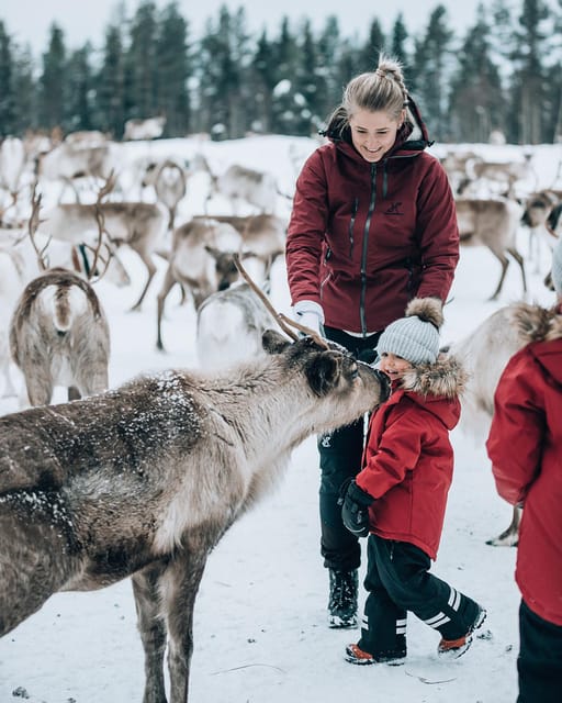 Kuusamo: Reindeer Farm Visit - Handicrafts workshop and boutique: a practical souvenir stop