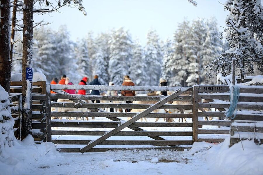 Kuusamo: Reindeer Farm Visit - Practical tips for winter visits and comfortable feeding time