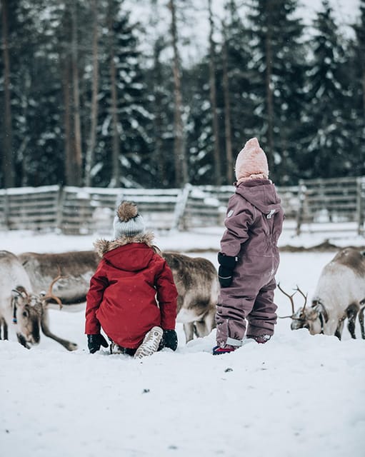 Kuusamo: Reindeer Farm Visit - FAQ