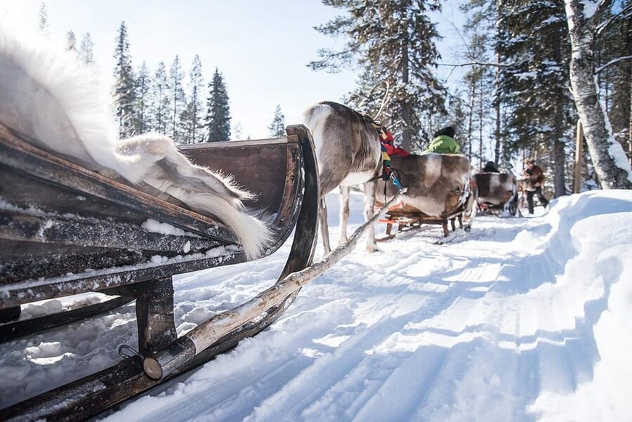 Kuusamo: Reindeer Sleigh Ride and Farm Visit - Key highlights worth your attention