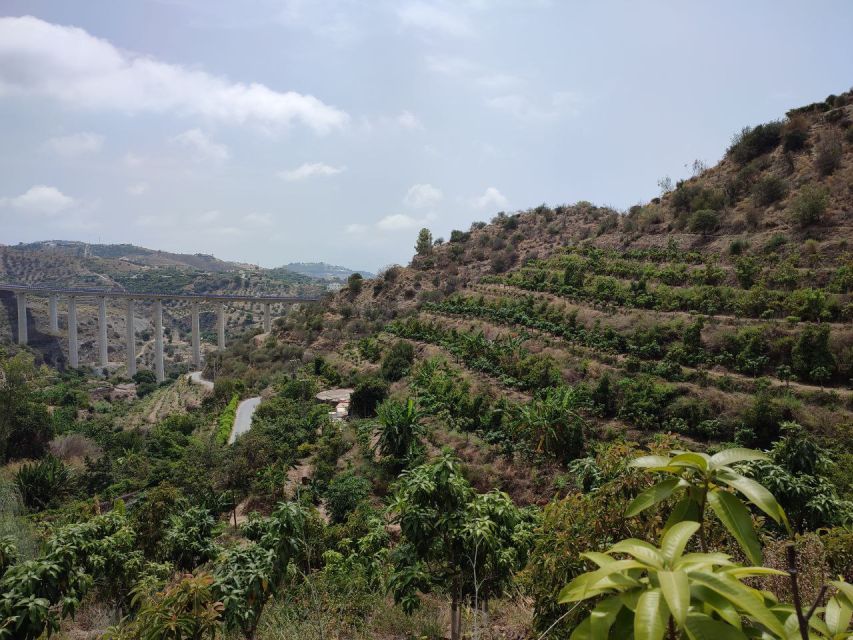 La Herradura Coffee Farm: tour in Europe's only plantation - Key things you will notice