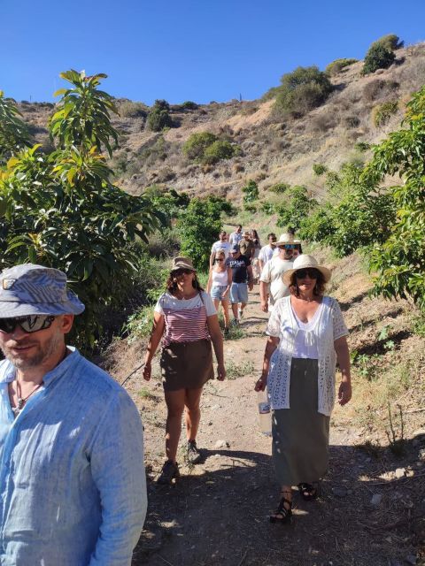 La Herradura Coffee Farm: tour in Europe's only plantation - The 70-minute walking tour: what the route covers