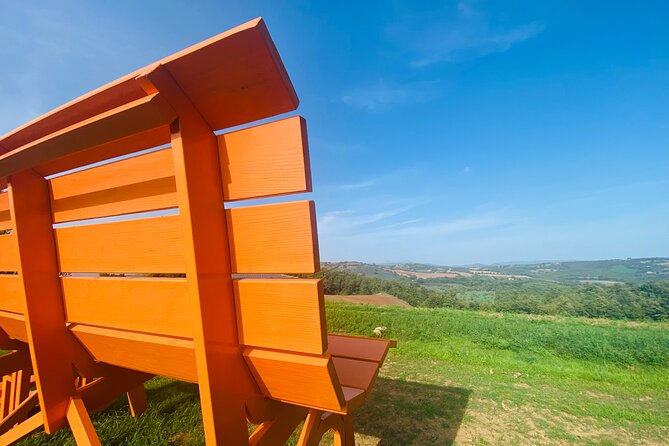 La Maliosa Farm Experience & Wine Tasting - Getting to Fattoria La Maliosa and finding the right vibe