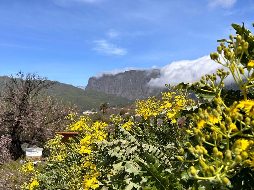 La Palma : Tour of an ecological farm w/ animals & tasting - Should you book Ecofinca Tacande?