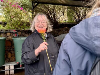 La Palma : Tour of an ecological farm w/ animals & tasting - The 1-hour farm walk: proteas, orchards, and the animals that make it fun