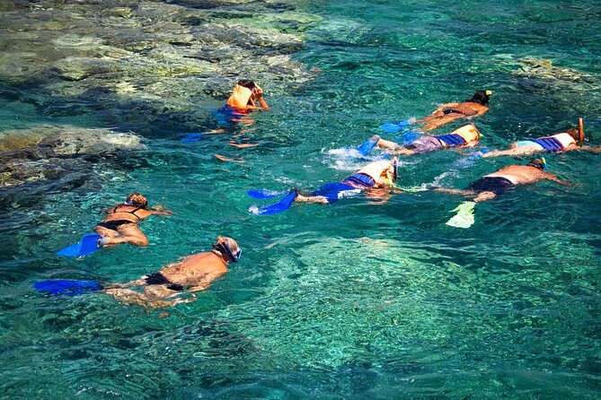 La Paz: Coral Farm Snorkel Tour - Key Highlights You’ll Care About