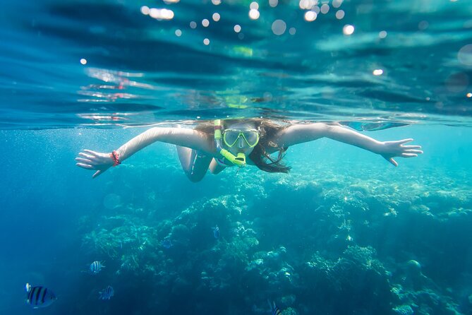 La Paz: Coral Farm Snorkel Tour - What You’re Really Doing: Coral Nurseries and Restored Reef Time