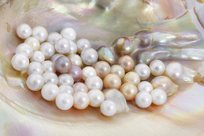 La Paz: Pearl Farm Experience and shop - How pearl cultivation works (in plain language)