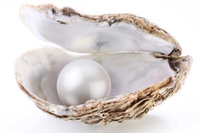 La Paz: Pearl Farm Experience and shop - Inside the pearl farm lab: what you’ll actually see
